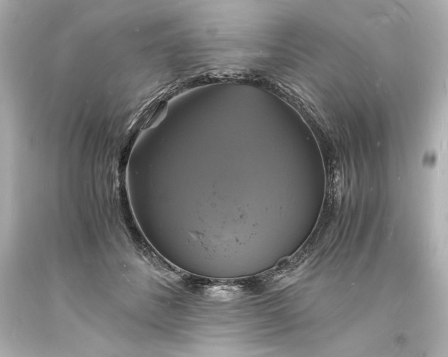 X0000094060508200711021449