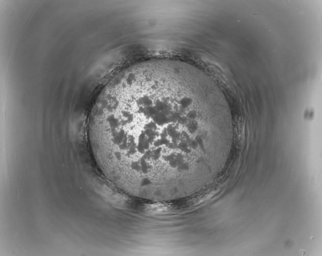 X0000094060511200711021448