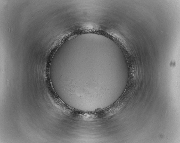 X0000094060512200711021448