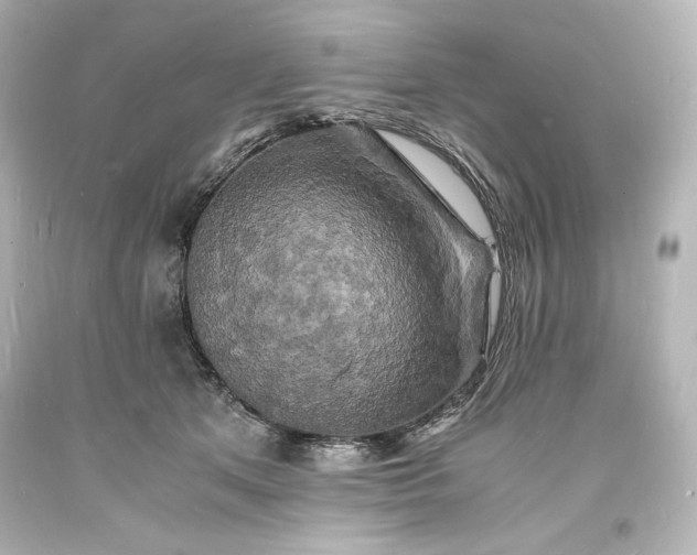 X0000094060513200711021448