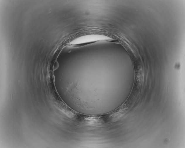 X0000094060516200711021448