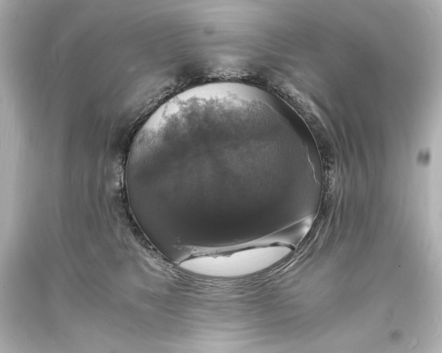 X0000094060517200711021448