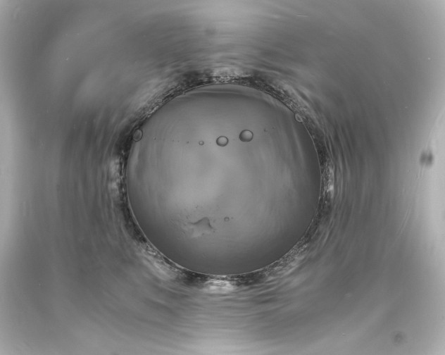 X0000094060519200711021448