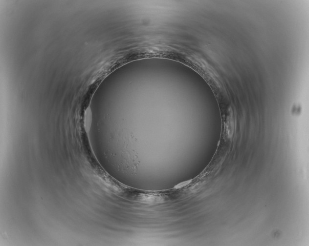 X0000094060520200711021448
