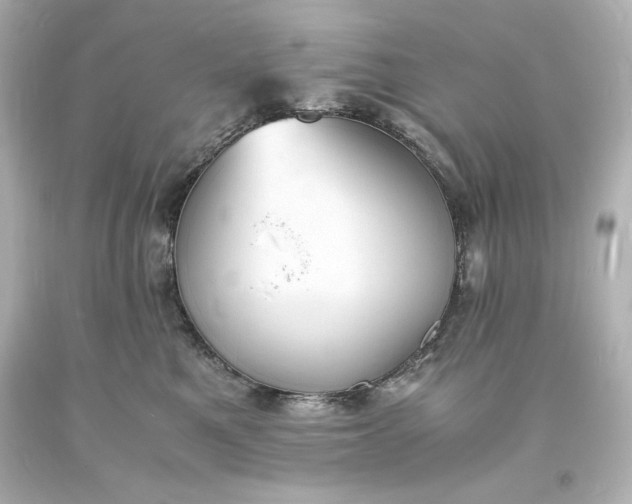 X0000094060521200711021448