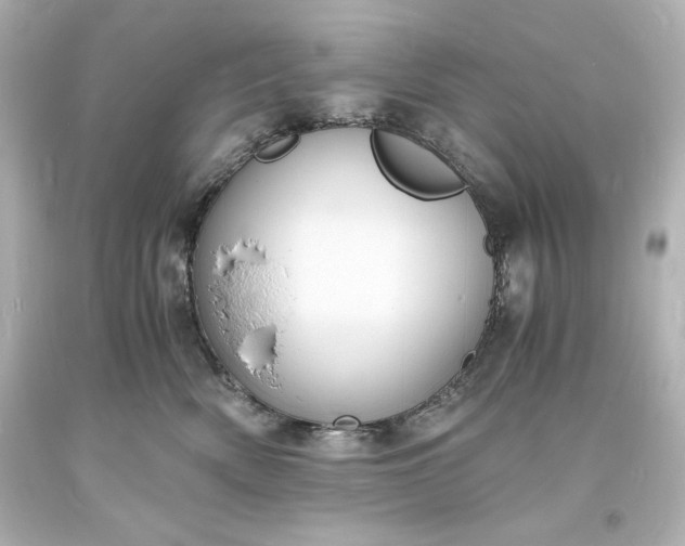 X0000094060522200711021448