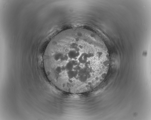 X0000094060523200711021448
