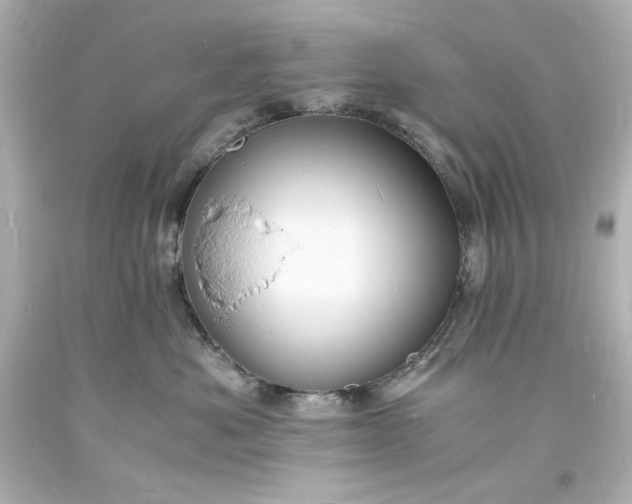 X0000094060525200711021448