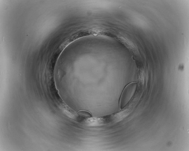 X0000094060526200711021448