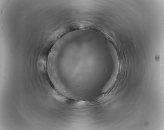 X0000094060527200711021448