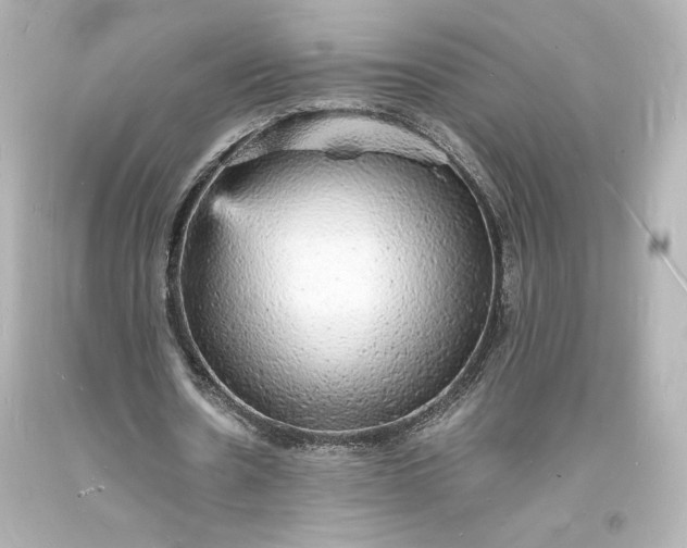 X0000094060530200711021448