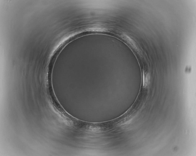 X0000094060531200711021448