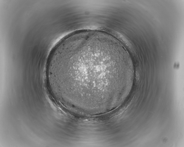 X0000094060532200711021448