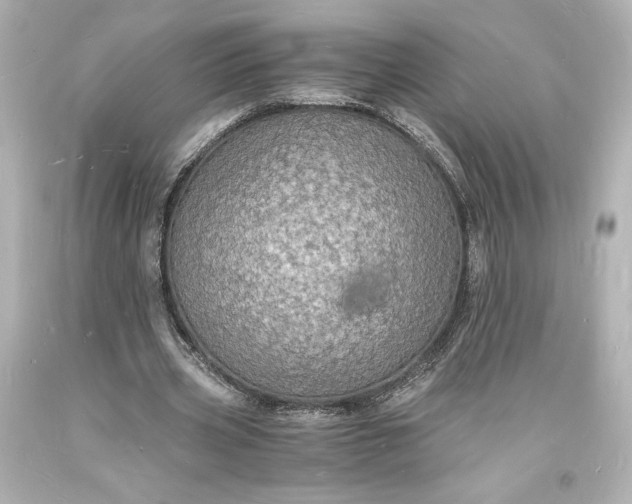 X0000094060533200711021448