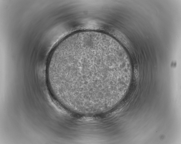 X0000094060534200711021448