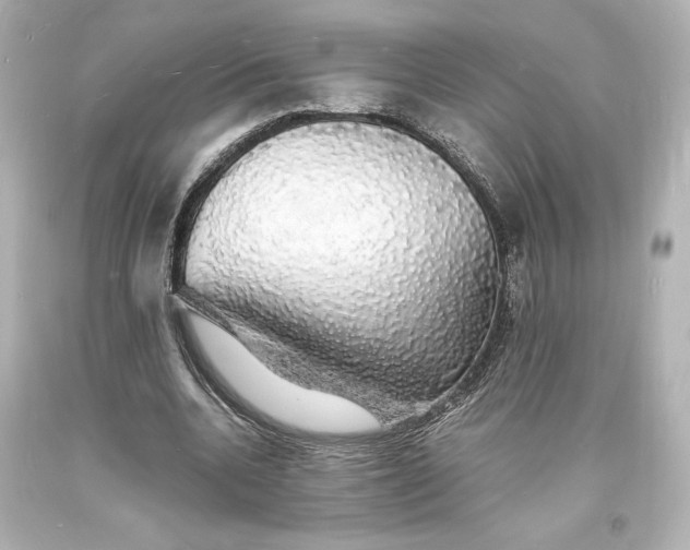 X0000094060536200711021448