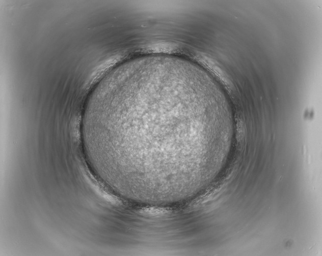 X0000094060537200711021448