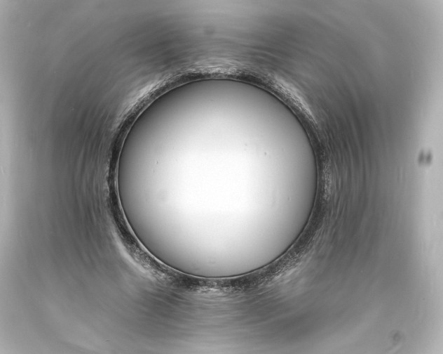 X0000094060538200711021448