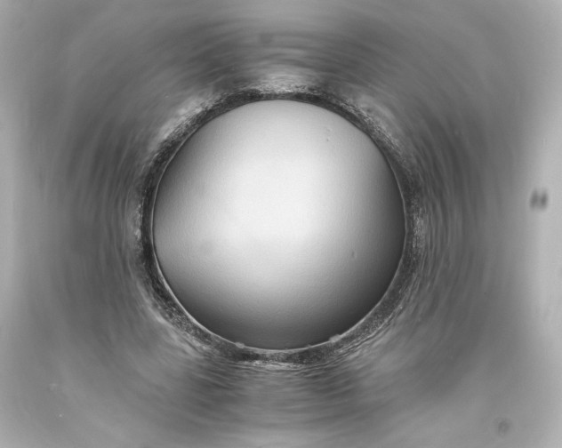 X0000094060539200711021448