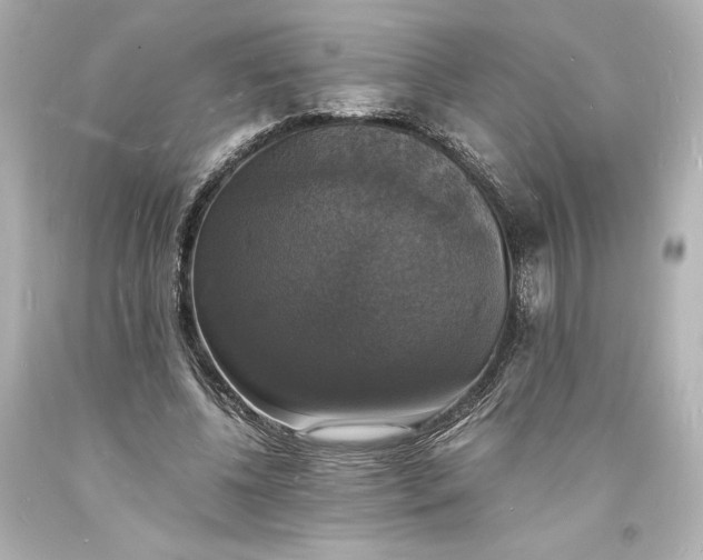 X0000094060540200711021448