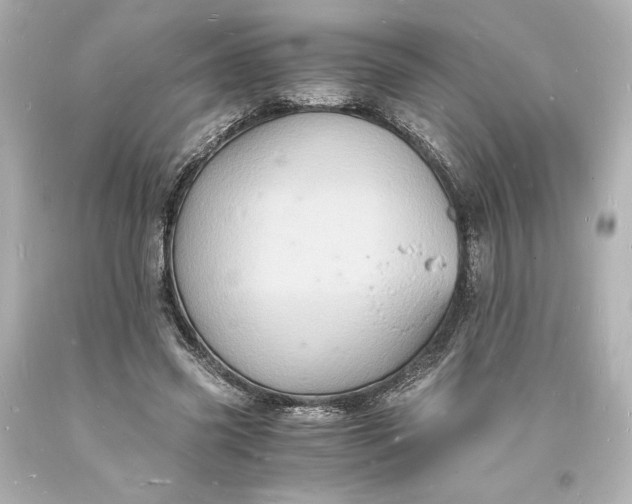 X0000094060541200711021448
