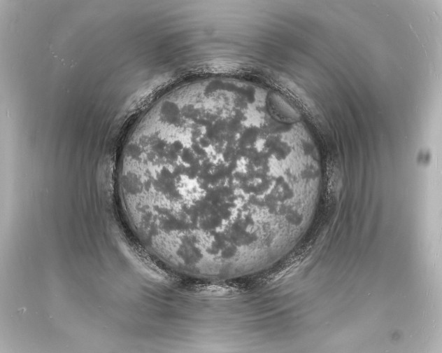 X0000094060542200711021448
