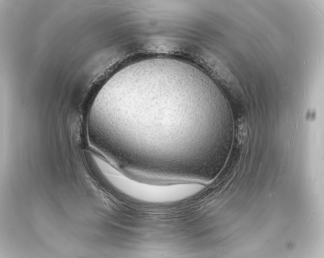 X0000094060544200711021448
