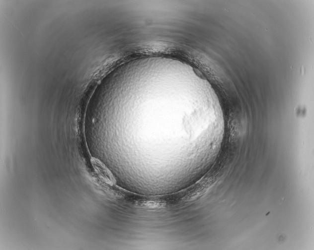 X0000094060546200711021448