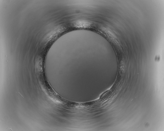 X0000094060547200711021448