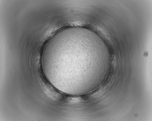 X0000094060548200711021448