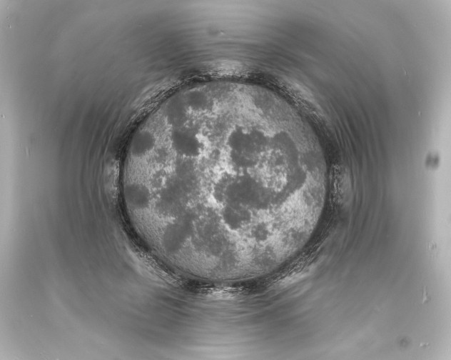 X0000094060550200711021448
