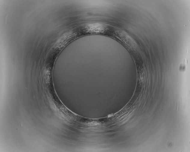X0000094060551200711021448