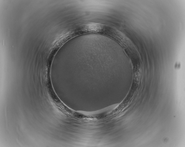 X0000094060552200711021448
