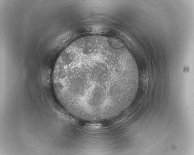 X0000094060554200711021448