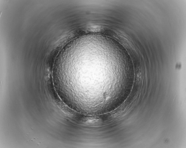 X0000094060555200711021448