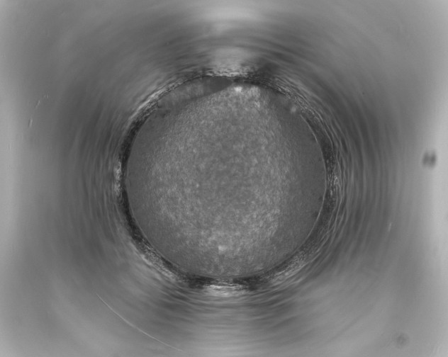 X0000094060556200711021448