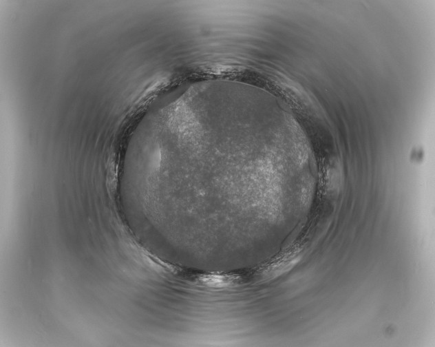 X0000094060558200711021448