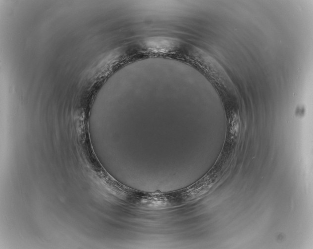 X0000094060559200711021448