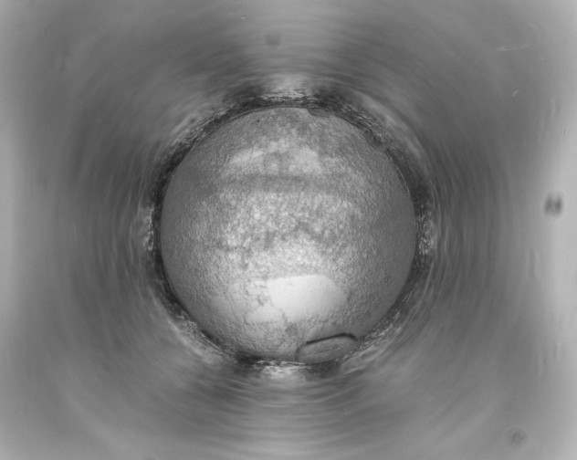 X0000094060560200711021448