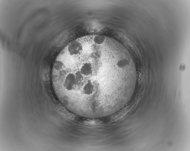 X0000094060561200711021448