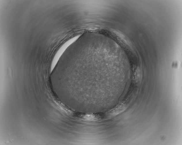 X0000094060562200711021448