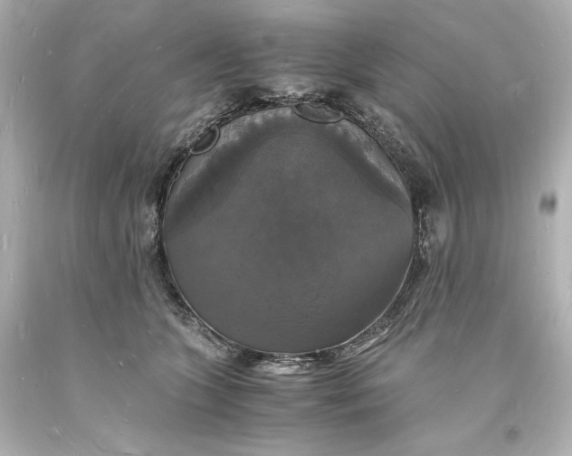 X0000094060563200711021448