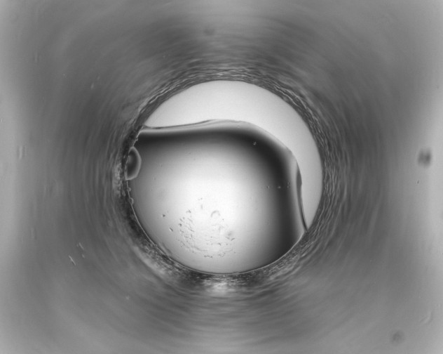 X0000094060564200711021448
