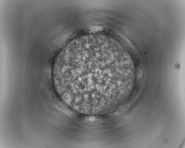 X0000094060565200711021448