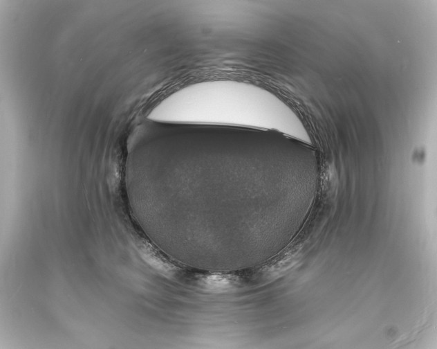 X0000094060566200711021448