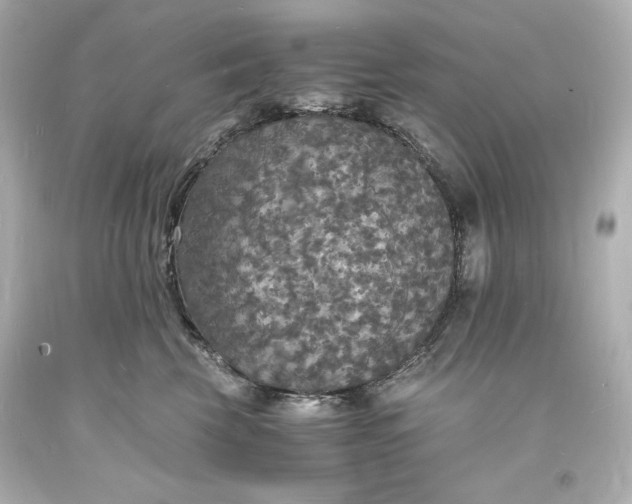 X0000094060569200711021448
