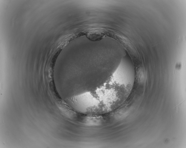 X0000094060571200711021448