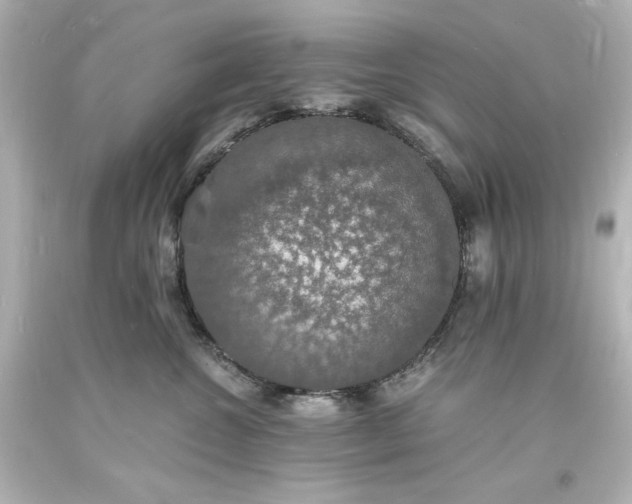 X0000094060572200711021448