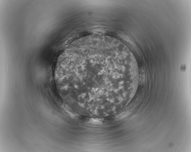 X0000094060573200711021448