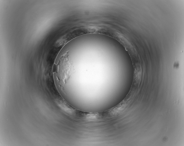 X0000094060574200711021448